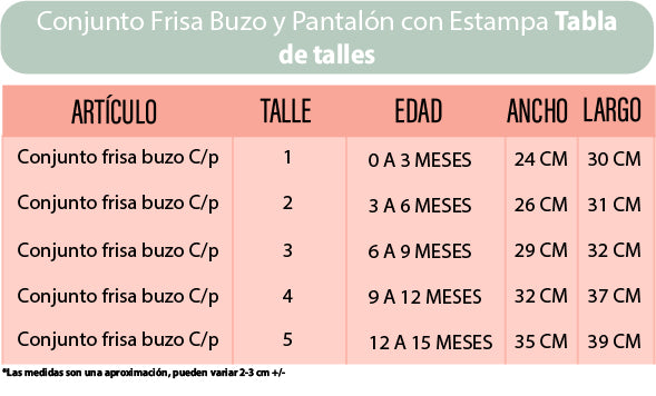 Pack X5 Buzo Plush Con Bordado