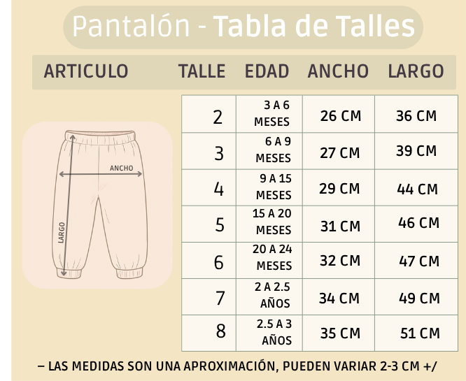 Pack X3 Conjunto Campera y Pantalón Liso