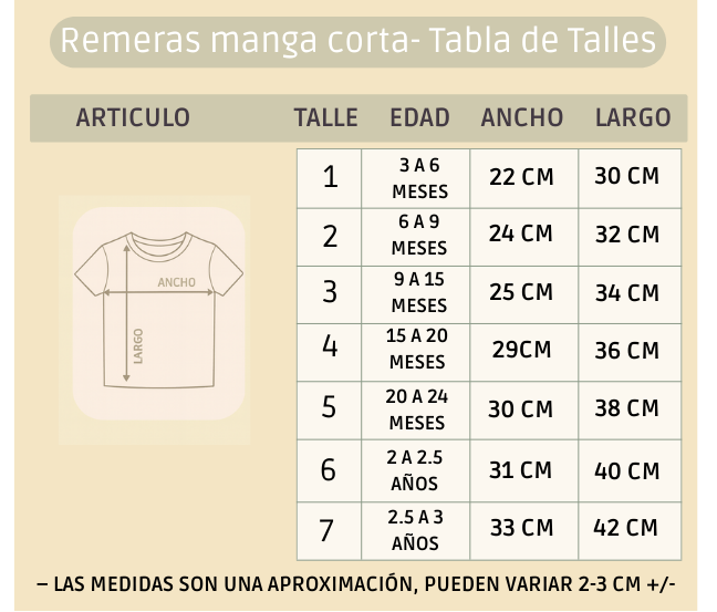 Pack X5 Conjunto remera bordada con short